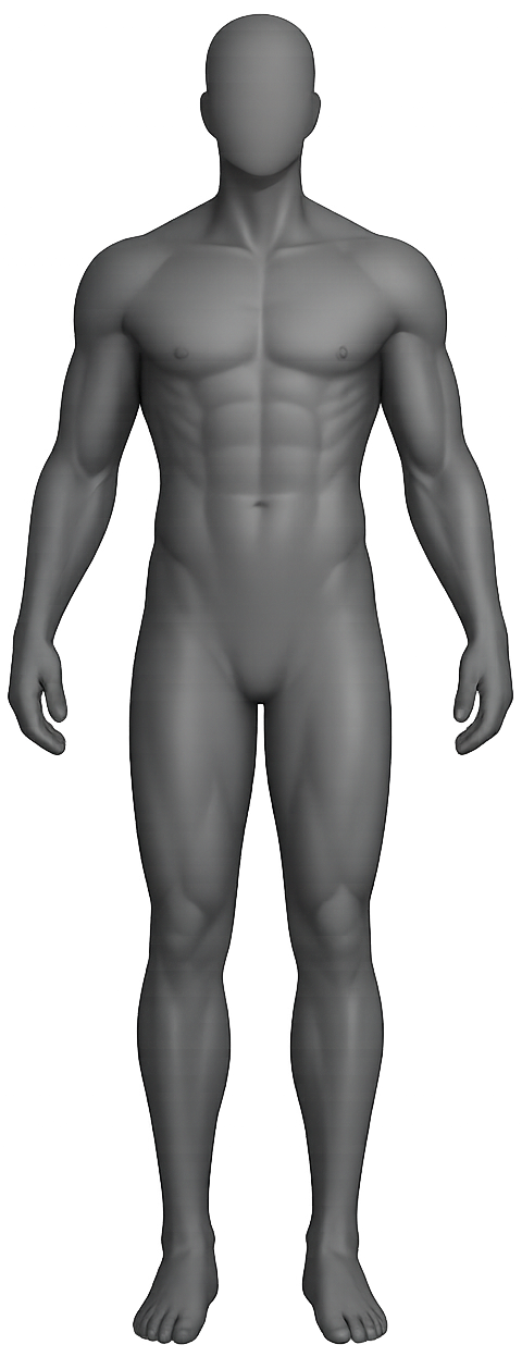 Front of the body
